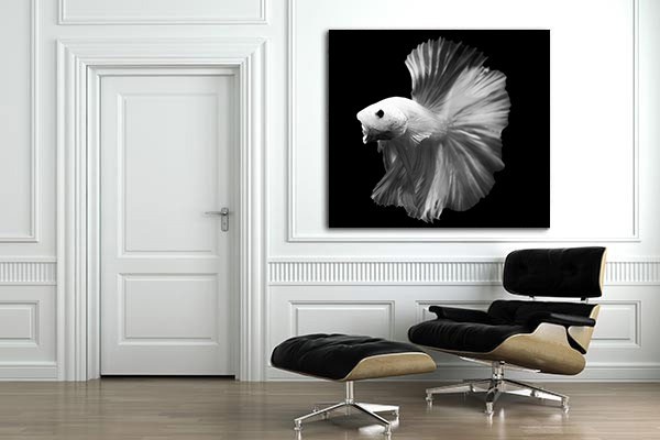 Design Canvas Photo Fighter in black and white