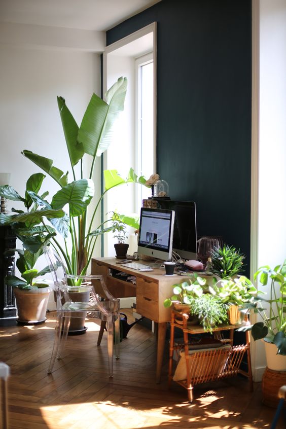 Tropical decoration desk