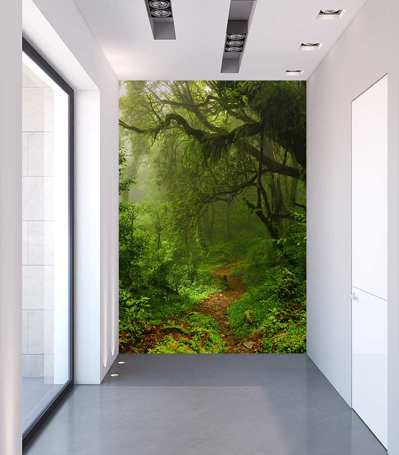 Background of the trompe corridor l'Oeil