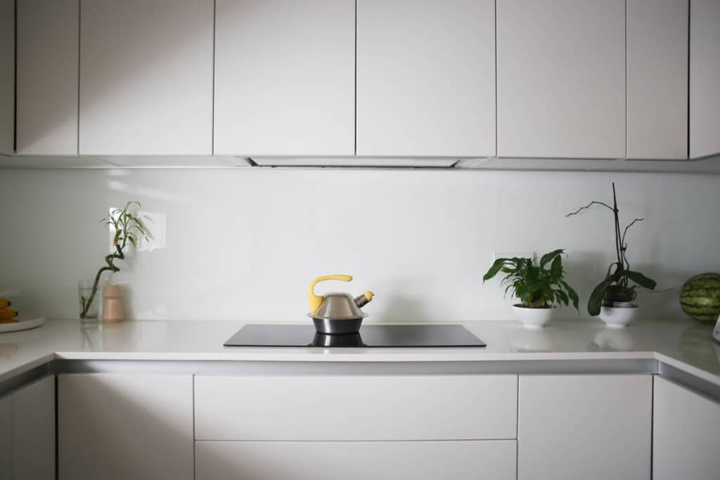 Minimalist white cuisine