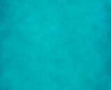 Pavone peacock: how to associate it?