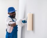 Maintenance of painted surfaces – Biiotors