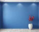 Wall coating: which one to choose?